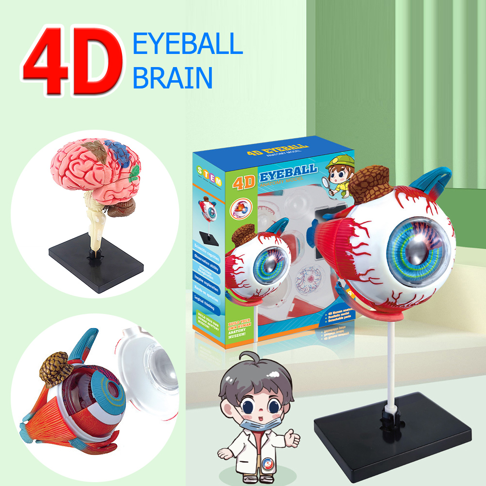 Art And Craft Science - Adornos de manualidades de Arte de