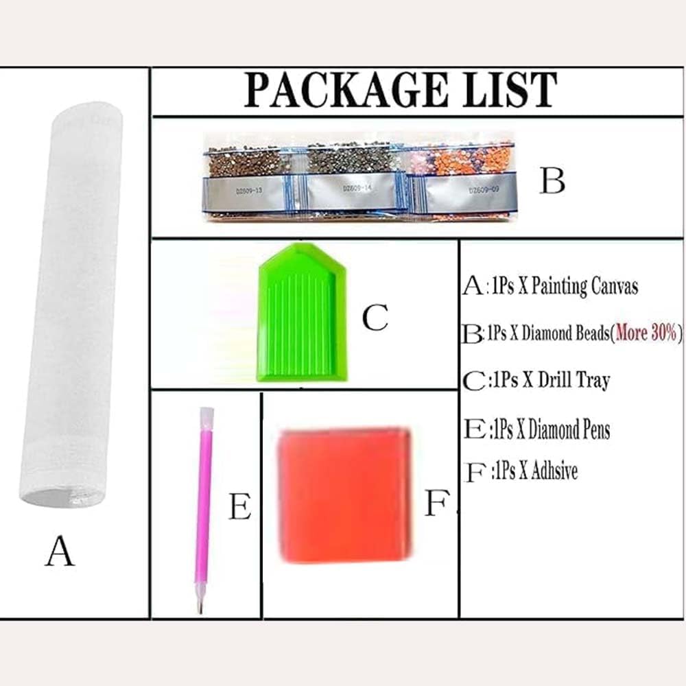 Kits de Pintura de Diamantes c - Art Craft Flower reseña y precio