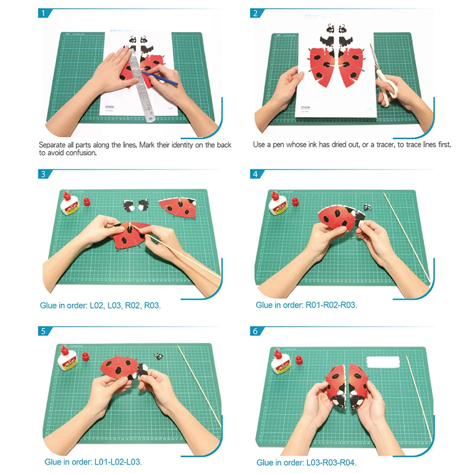 Mariquita insecto Origami arte - Art Craft Ladybug reseña y precio