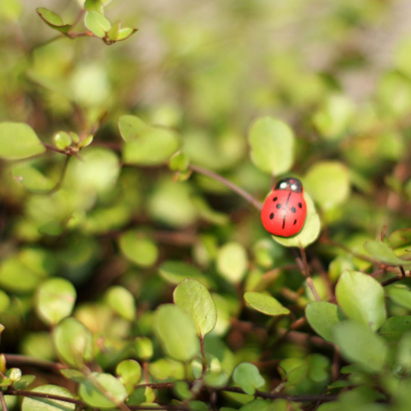 100 Mini Mariquitas Autoadhesi - Art Craft Ladybug reseña y precio