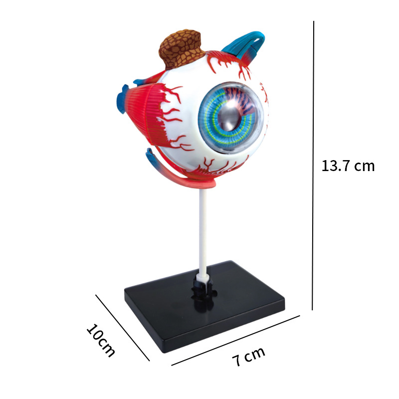 Adornos de manualidades de Art - Art And Craft Science reseña y precio